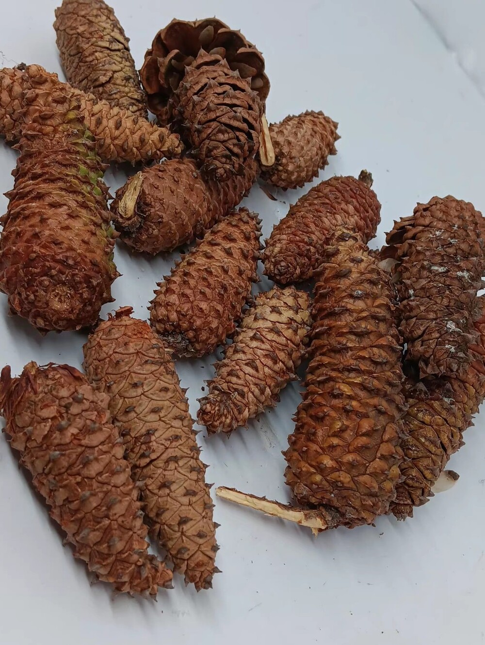 Natural Brown Decorative Pine Cones for Home Accents